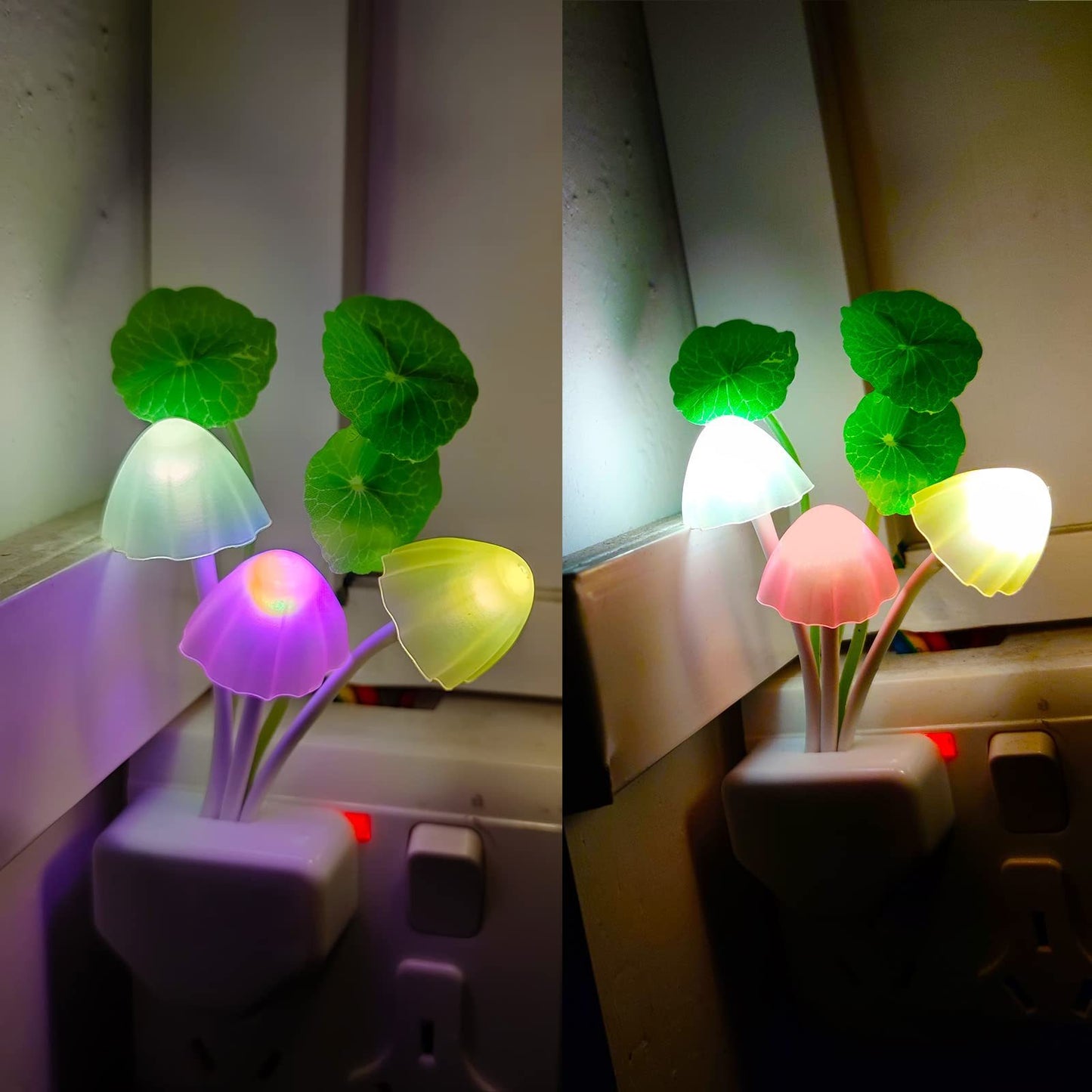 Energy-Saving Night Light