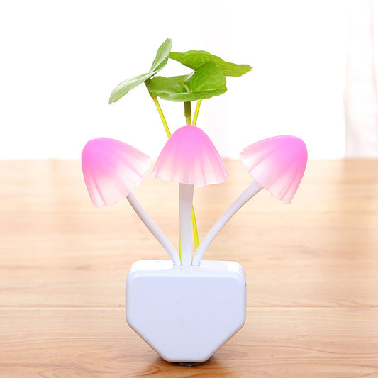 Energy-Saving Night Light