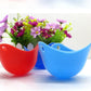 4-Color Egg Cooker Set