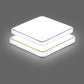 Modern LED Ceiling Lamp